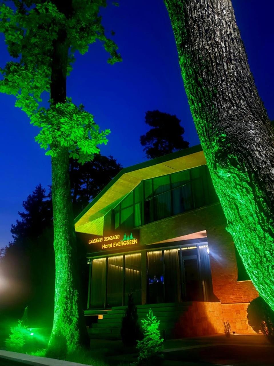 Property building, Night, Garden