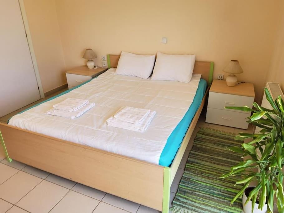 orange Apartment in Ialysos