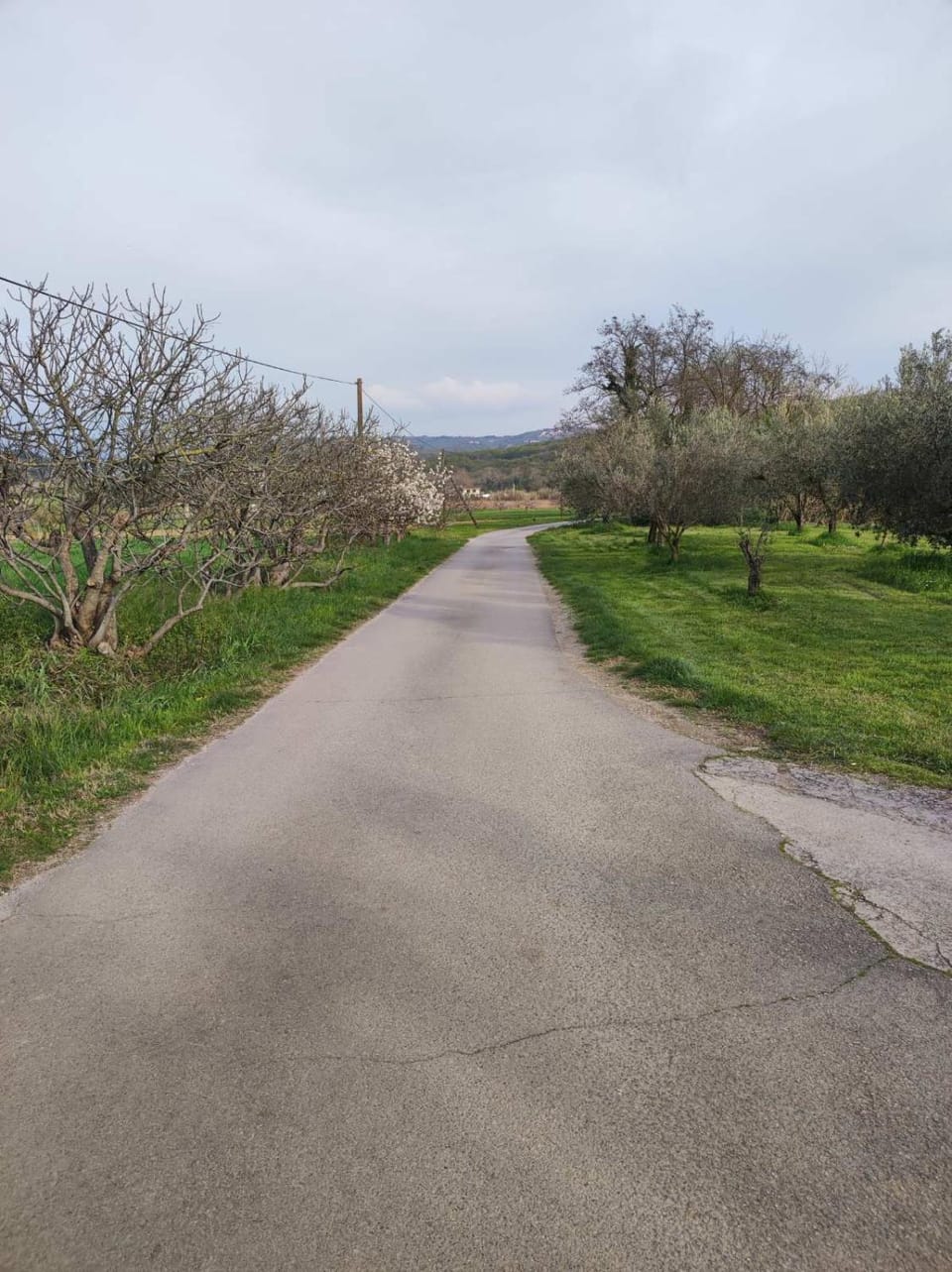 Na Zeleni cesti / On the green road Apartment in Slovenia