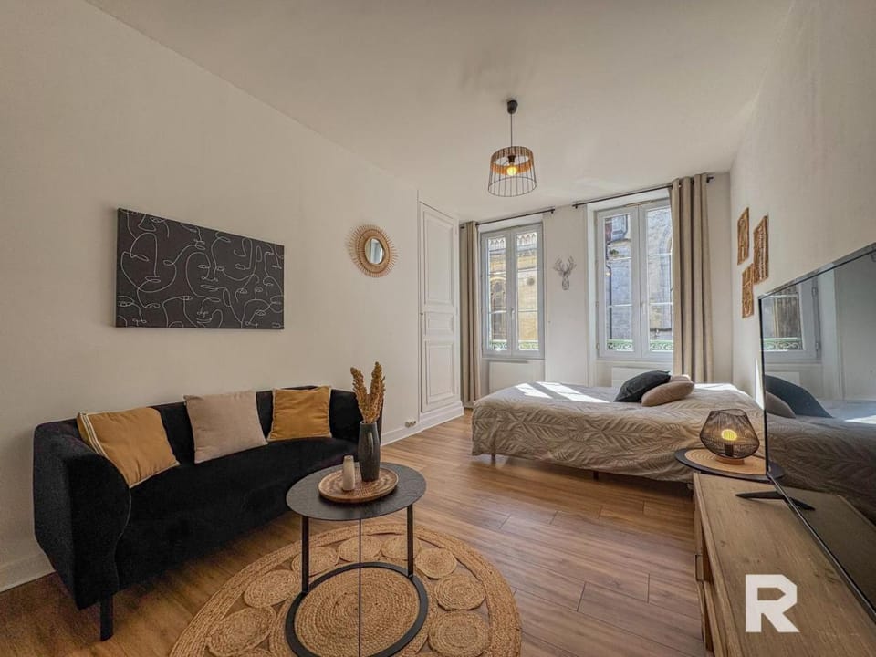 Ô Centre- Chaleureux - Fibre - Netflix Apartment in Centre-Val de Loire
