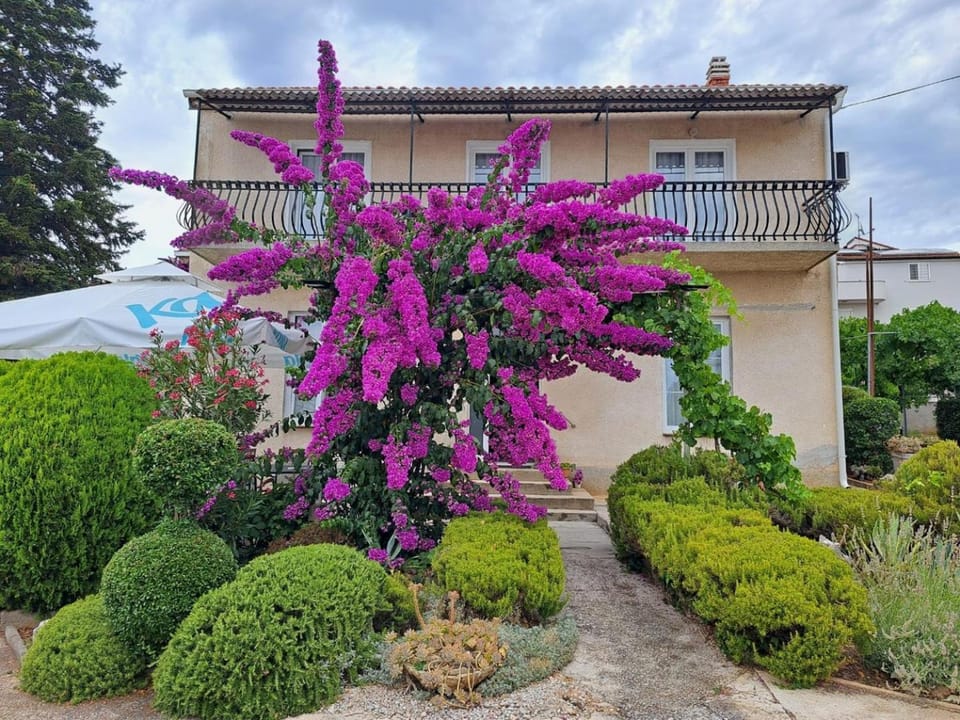 Property building, Balcony/Terrace
