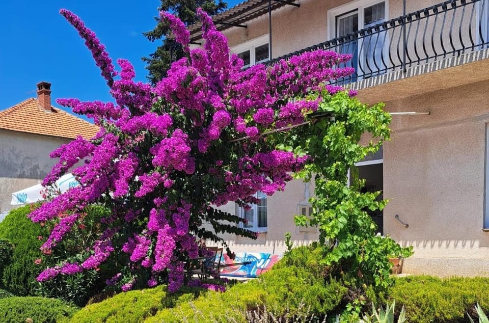 Bošana Beach Apartment Biograd Apartment in Biograd na Moru