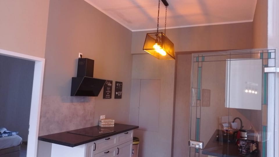 Ferienwohnung mit Kamin und traumhafter Dachterrasse mit Weitblick in die Natur Apartment in Mecklenburgische Seenplatte
