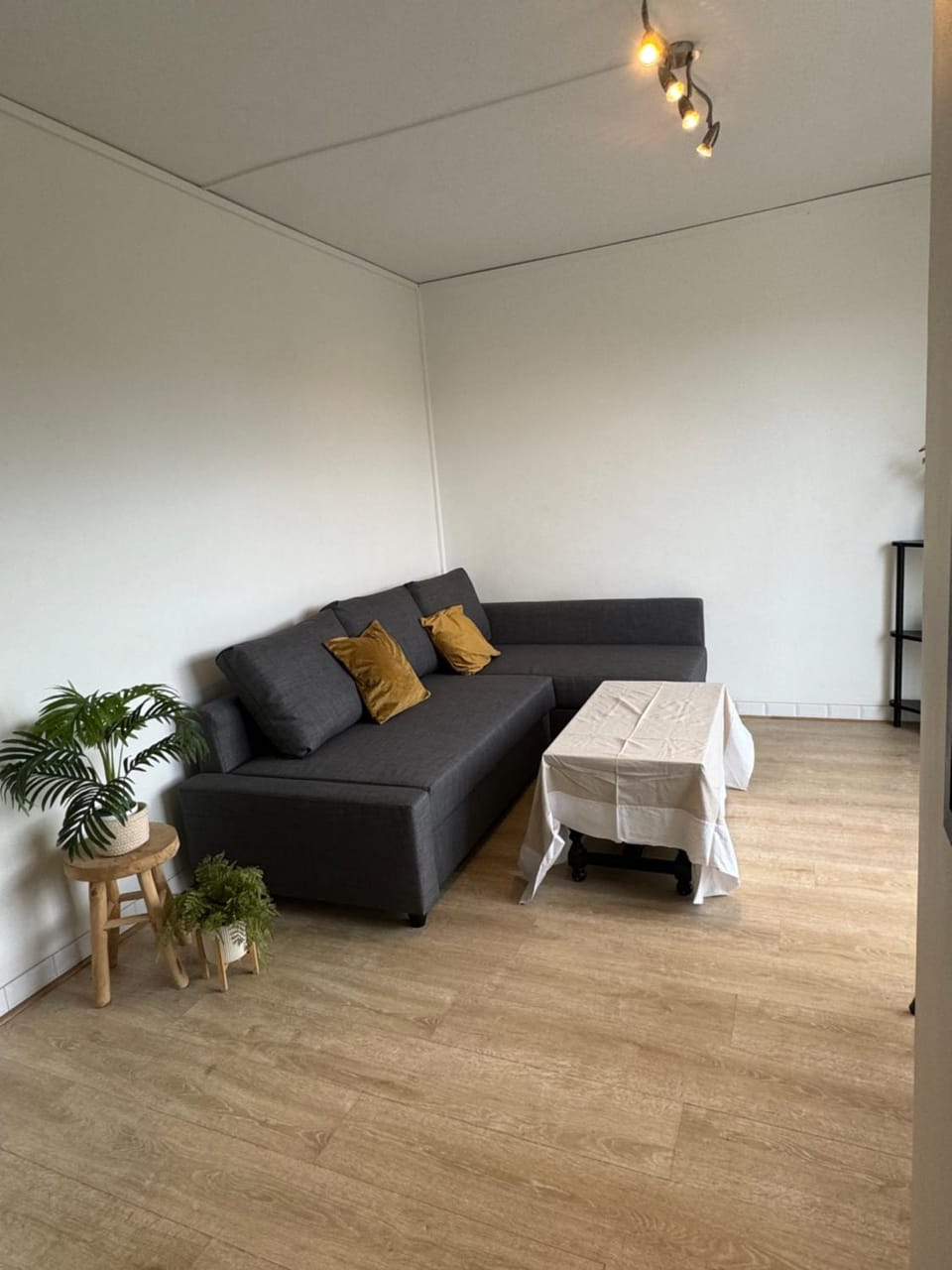 Bed, Living room, Bedroom