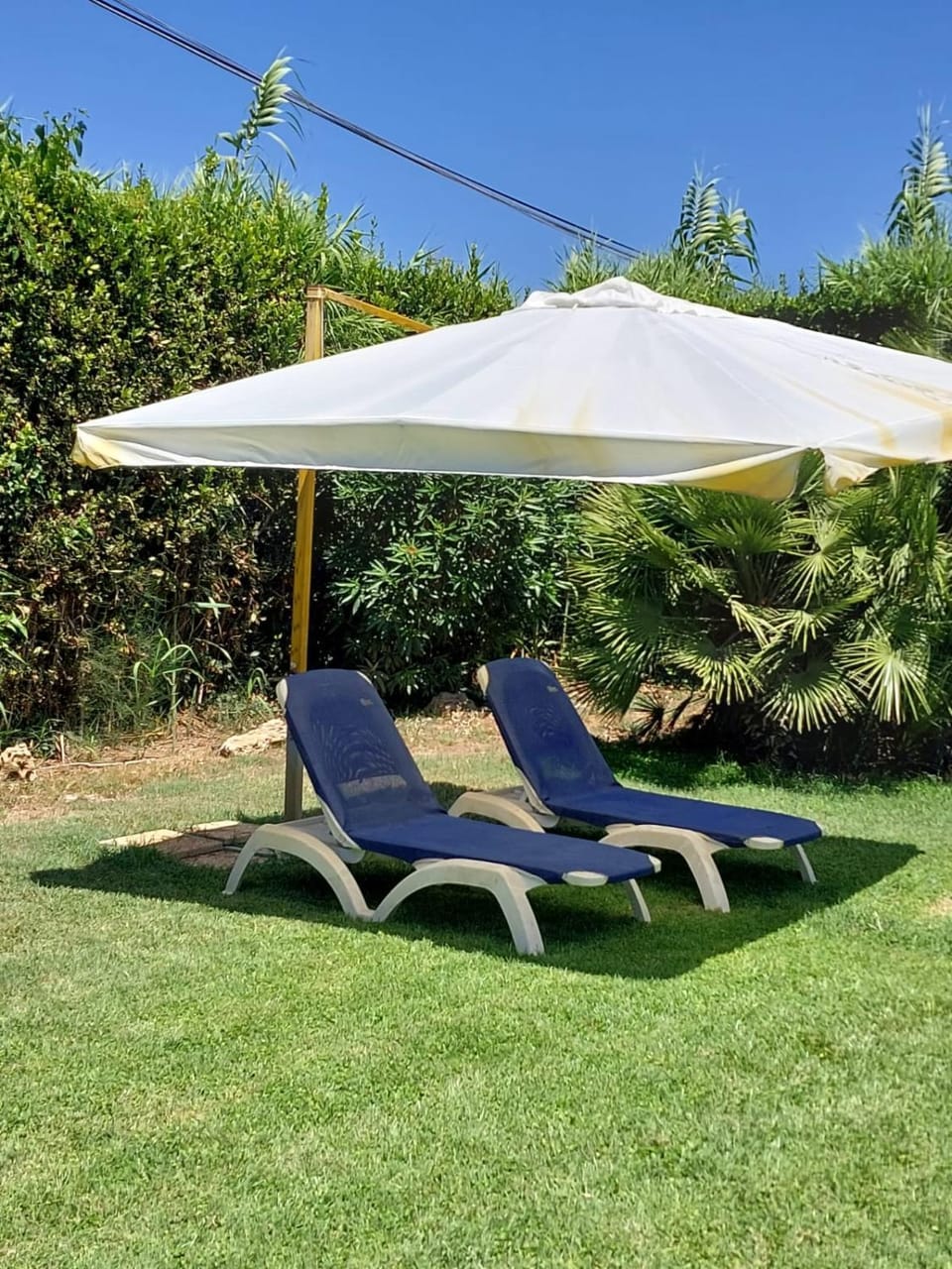 Garden view, sunbed