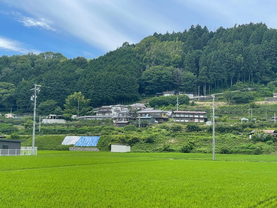 Spring, Day, Natural landscape