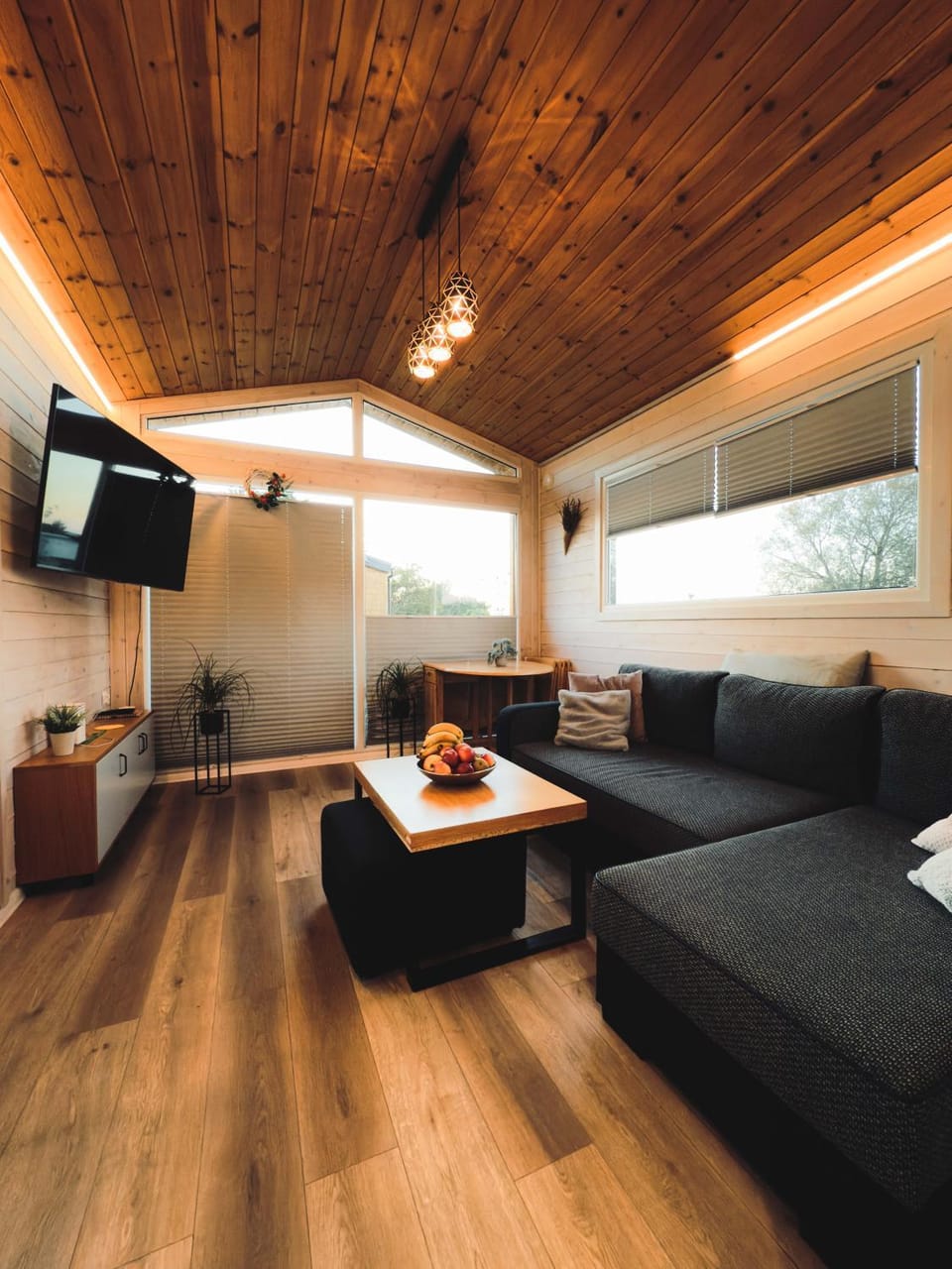 TV and multimedia, Living room