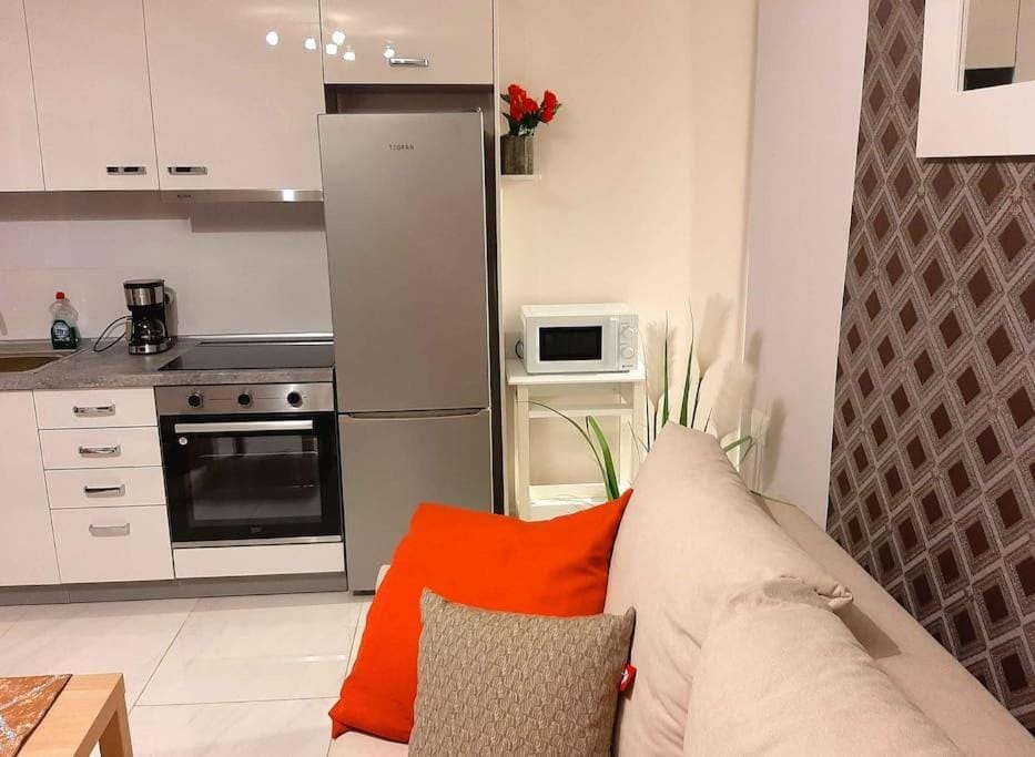 Kitchen or kitchenette, minibar, pet friendly, stove
