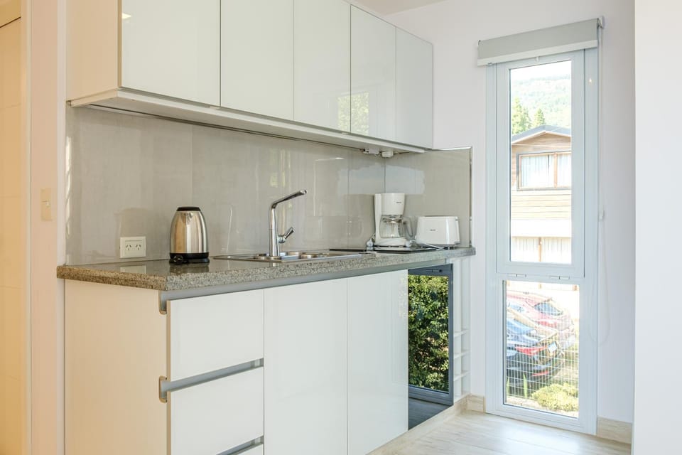 Kitchen or kitchenette, minibar, stove