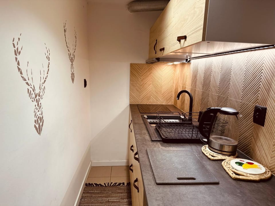 Kitchen or kitchenette, stove