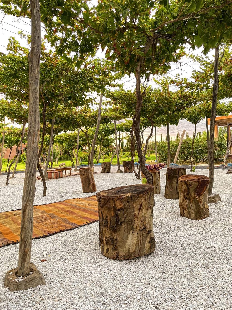 Natural landscape, Garden view
