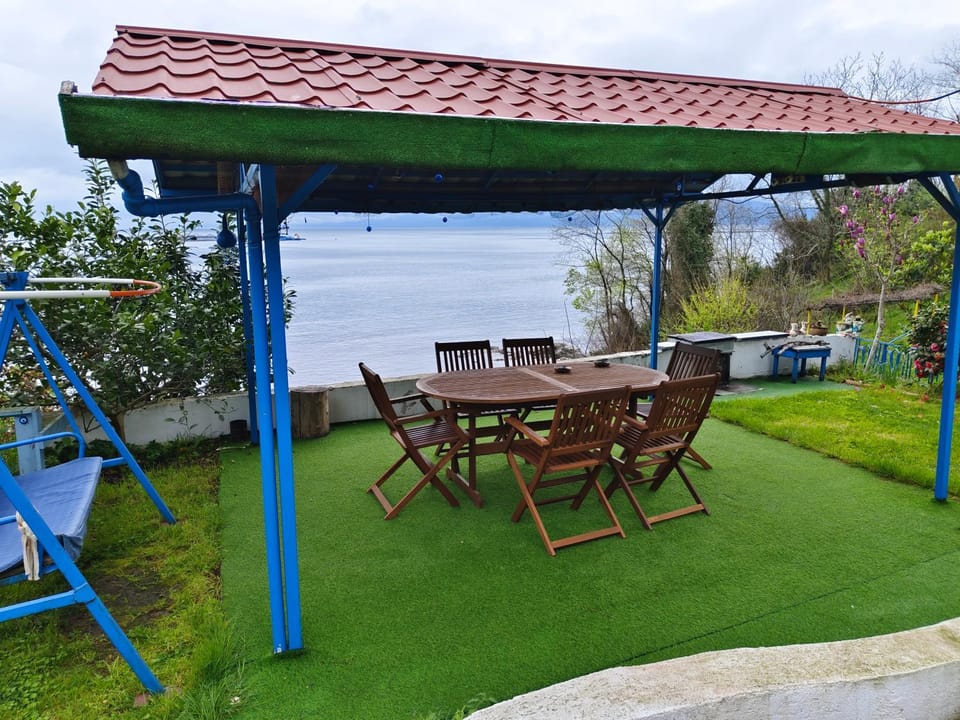 Patio, Garden, Garden view