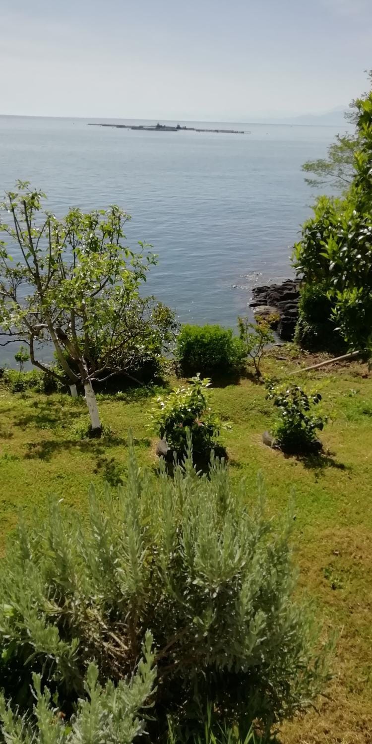 Sea view