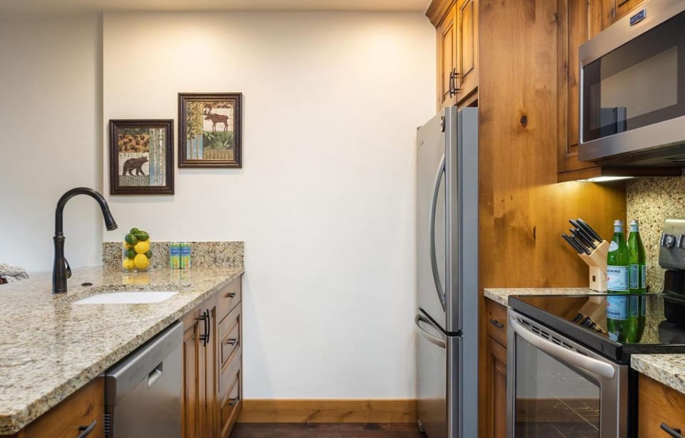 Vail Landmark 1 Bedroom Condo In Lionshead Village Apartment in Vail