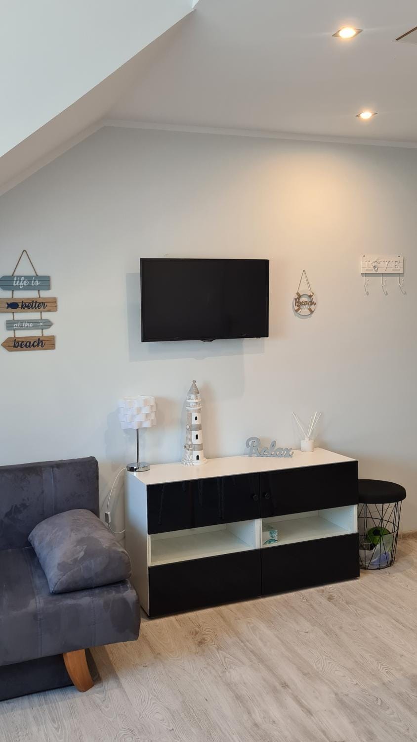 TV and multimedia