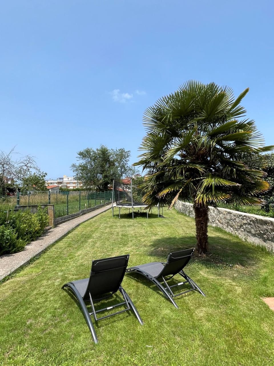 Garden, Garden view, sunbed