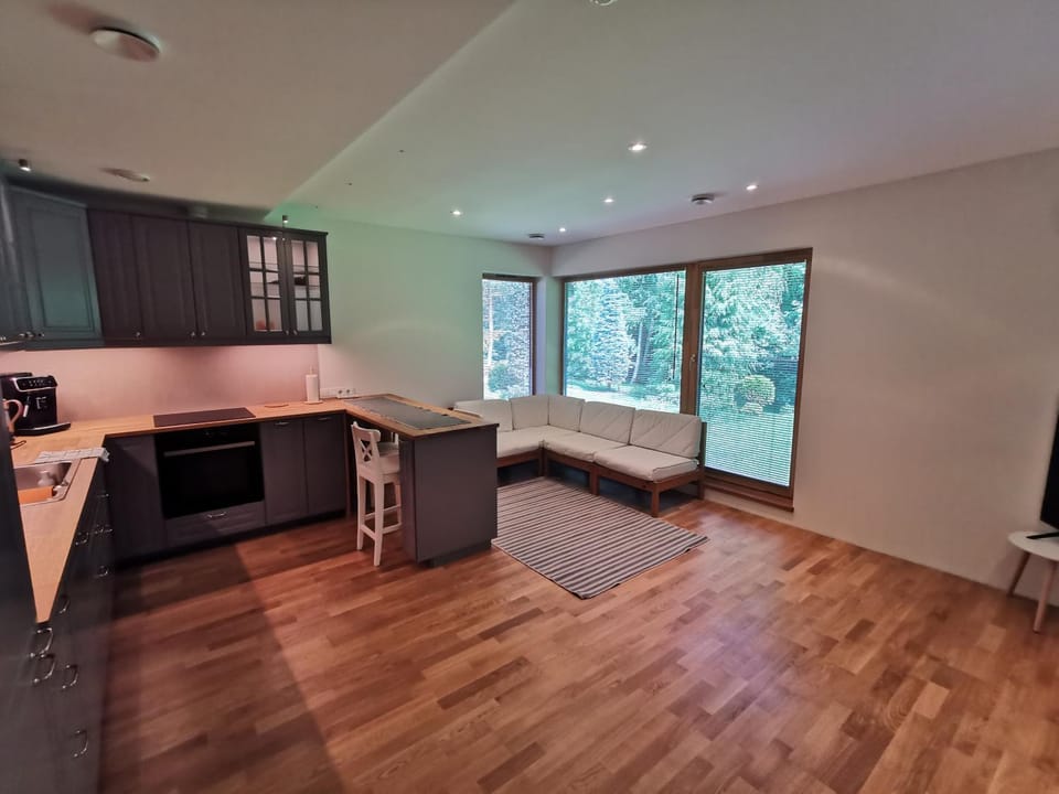 Kitchen or kitchenette, Dining area, stove