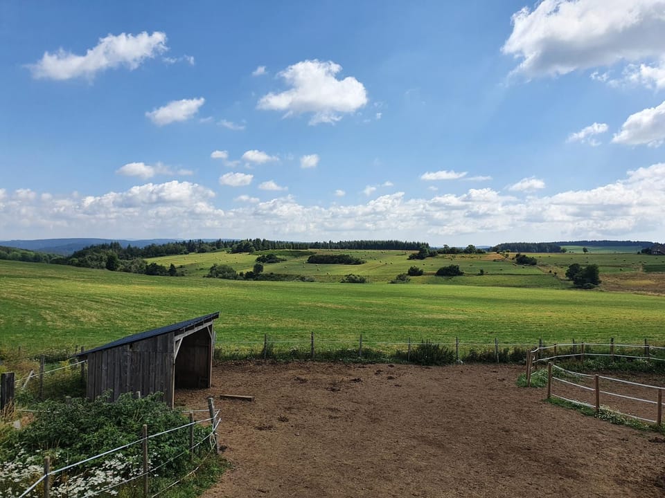 View (from property/room), Animals