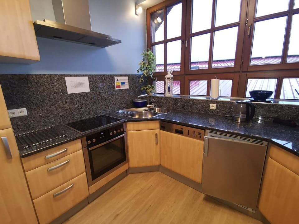 Kitchen or kitchenette, dishwasher, minibar, pet friendly, stove, kitchen