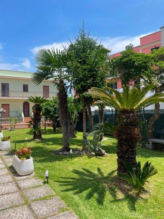 Property building, Garden, Garden view, Inner courtyard view