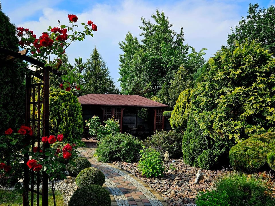 Day, Natural landscape, Garden, Garden view