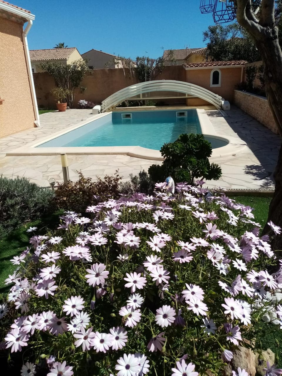 Garden, Garden view, Pool view, Swimming pool, Swimming pool, sunbed