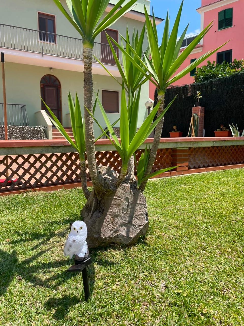 Property building, Spring, Garden, Garden view