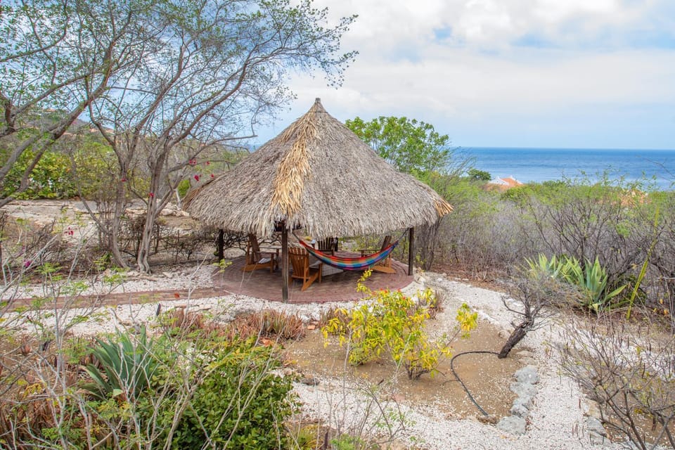 Natural landscape, Garden, Garden view, Sea view
