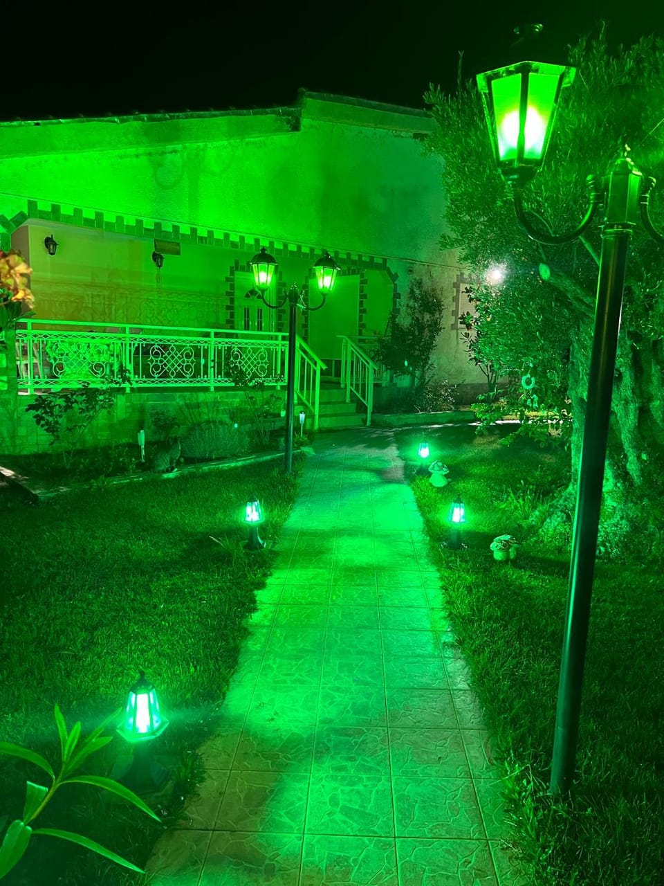Night, Natural landscape, Garden, Garden view