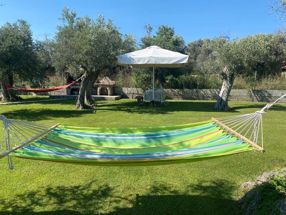 Natural landscape, Garden, Garden view, sunbed