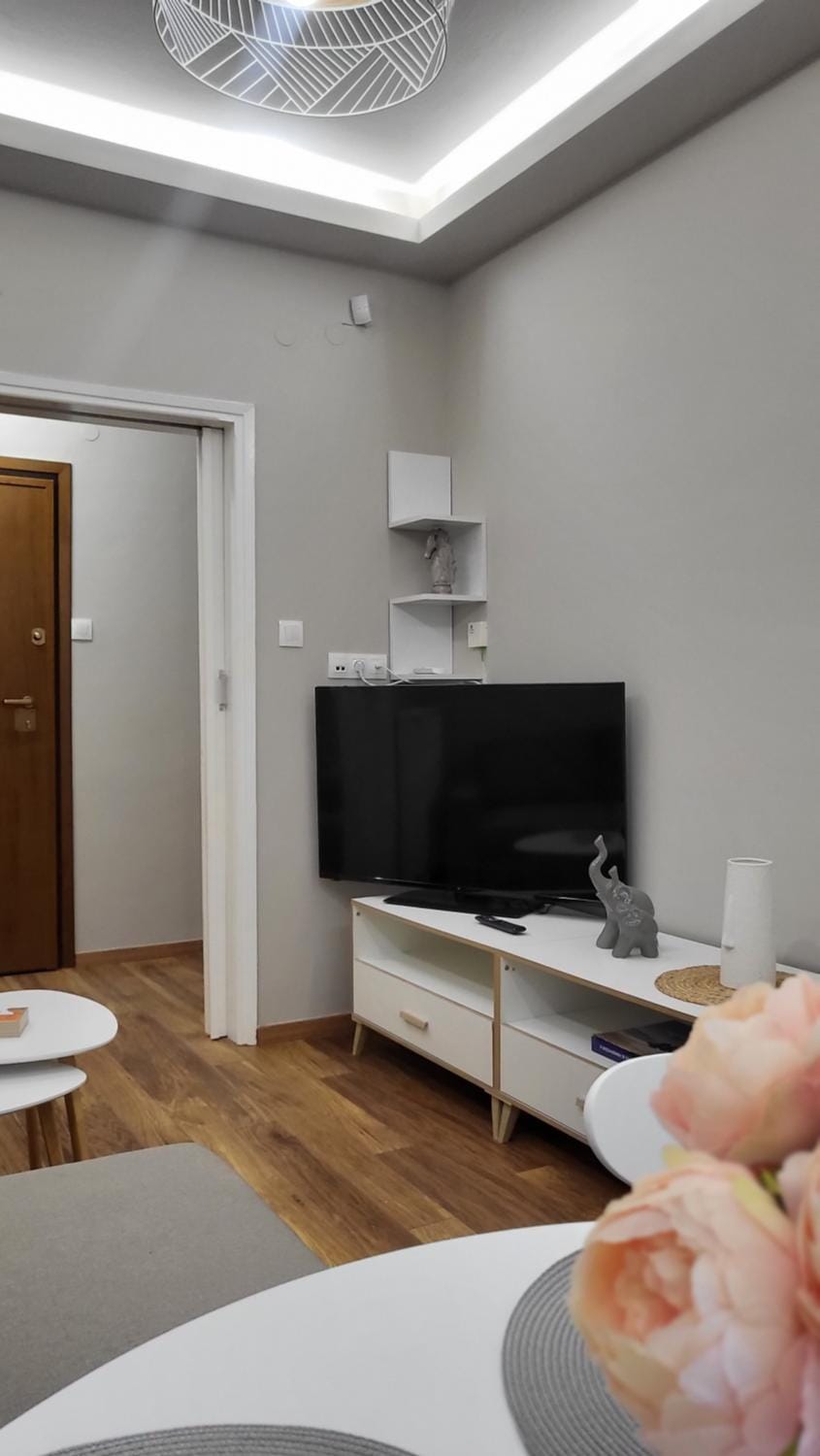 TV and multimedia