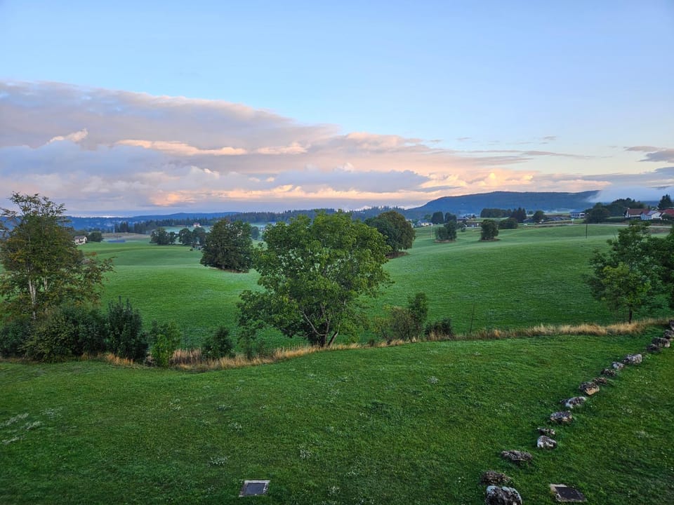 View (from property/room), View (from property/room)