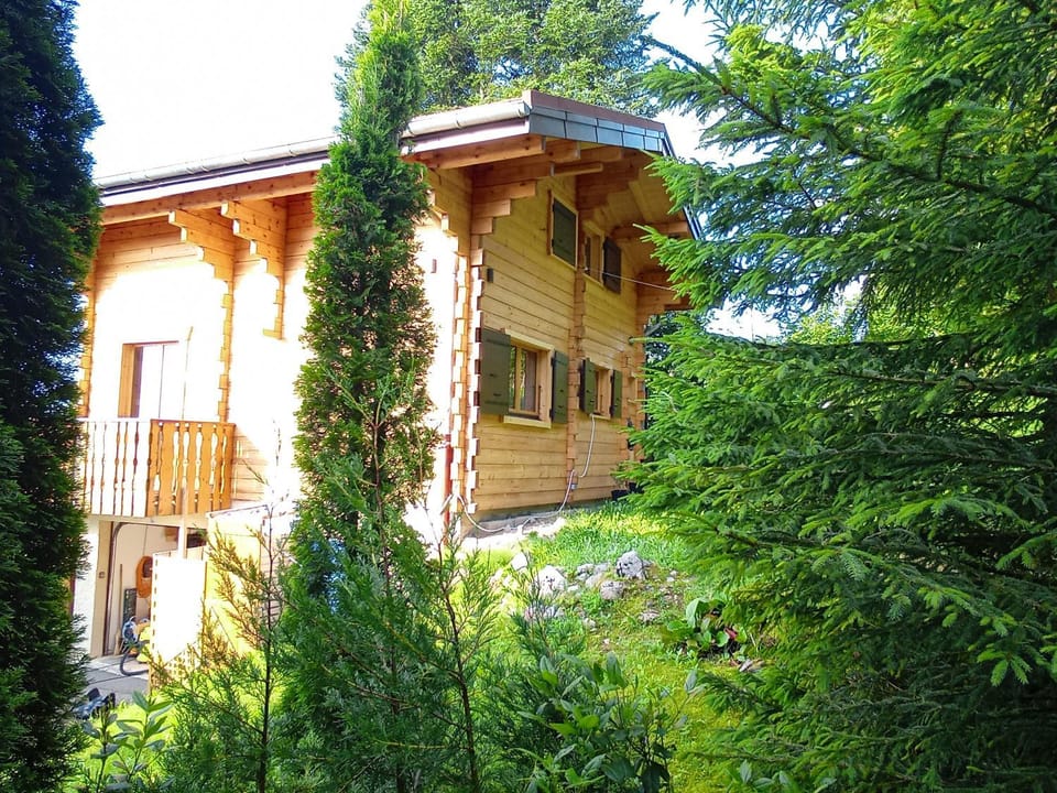 Natural landscape, Garden view
