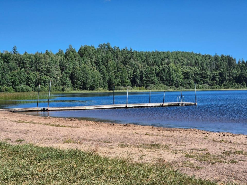 Lake view