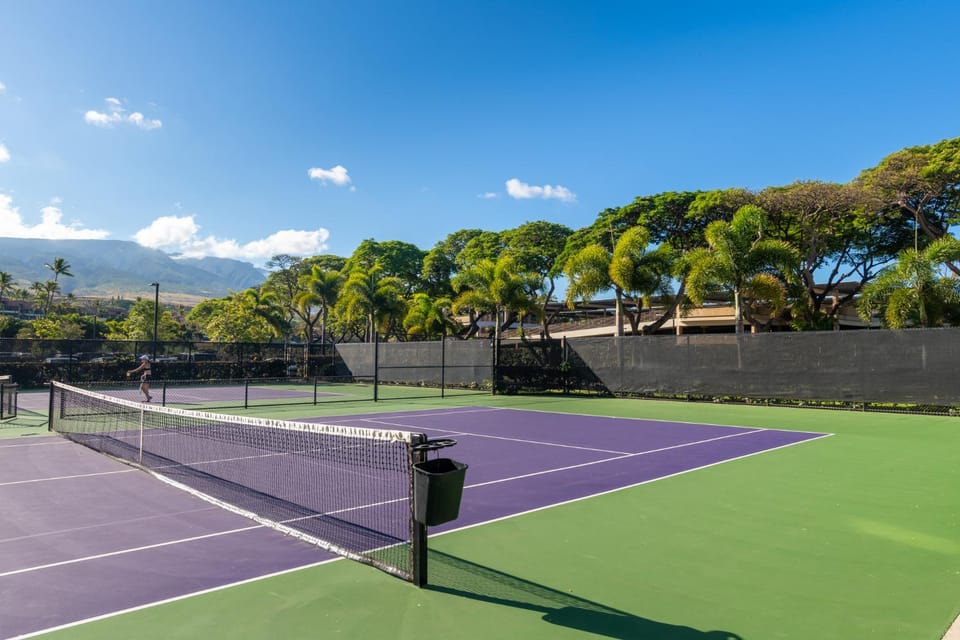 Tennis court