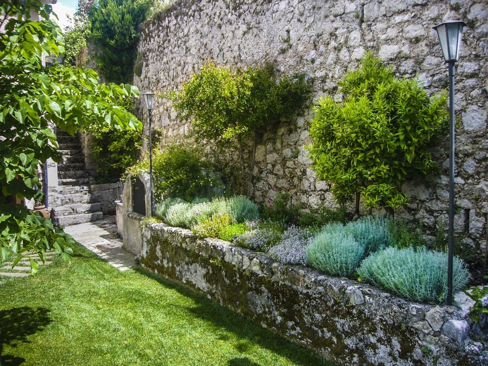 Day, Garden, Garden view