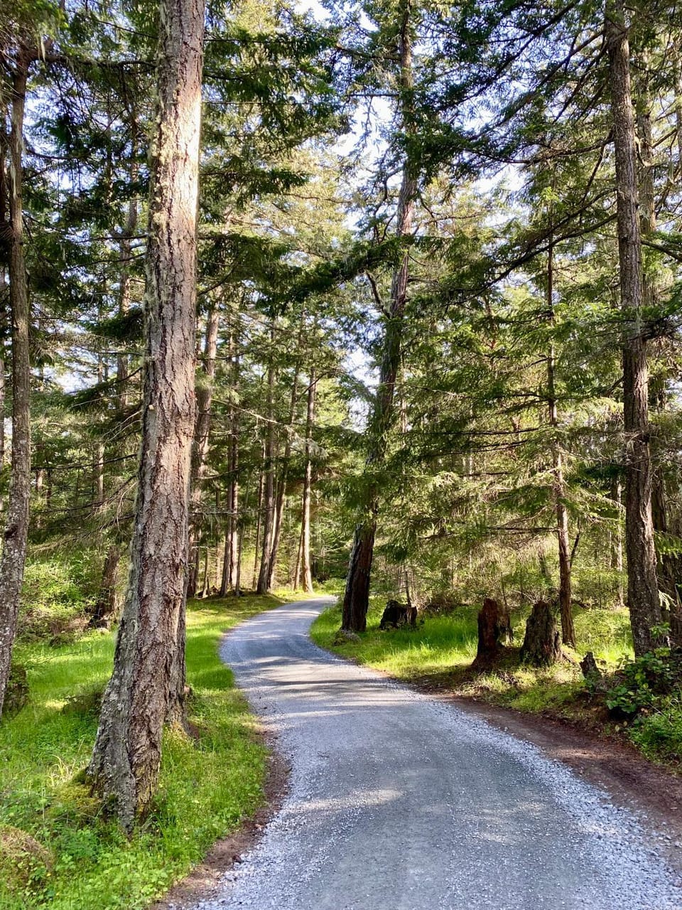Natural landscape