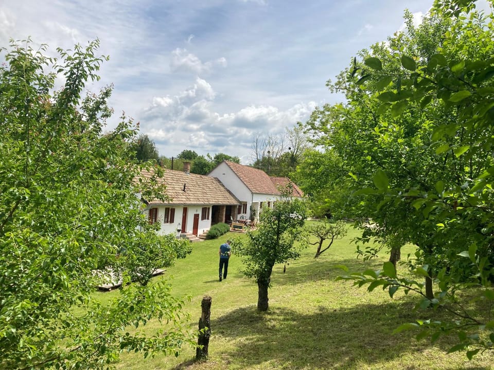 Property building, Garden, Garden view