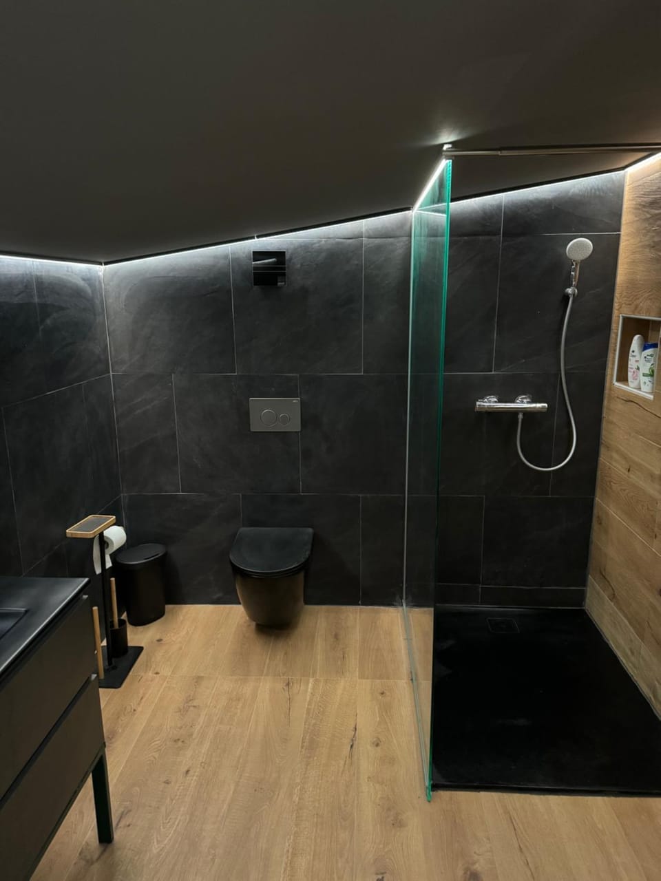 Shower, hair dryier, heating, internet, washing machine