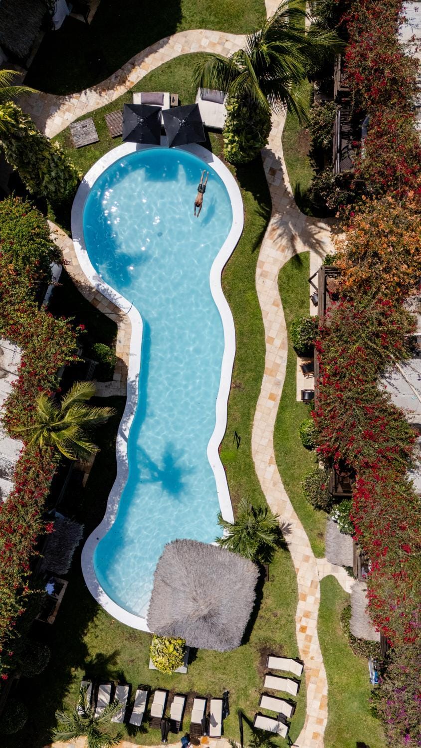 Garden, Swimming pool