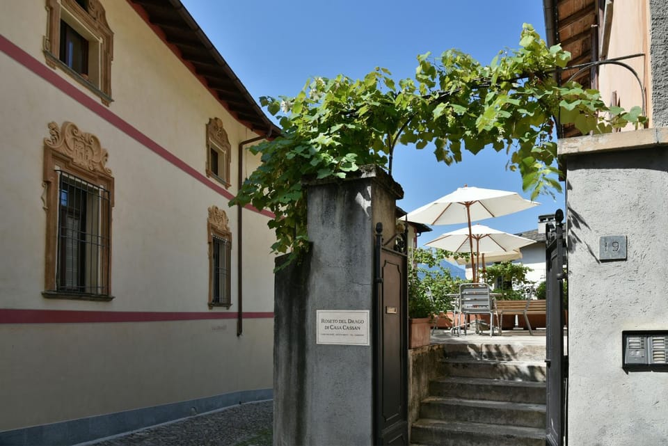 Quiet street view