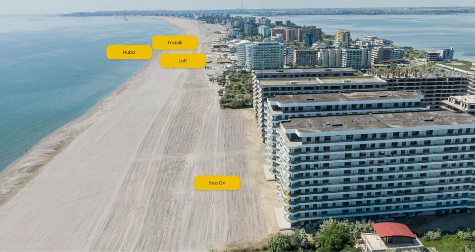 Day, Bird's eye view, Beach