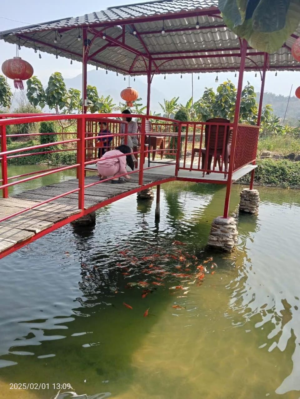 Natural landscape, Lake view
