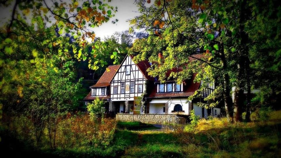 Property building, Natural landscape, Garden view