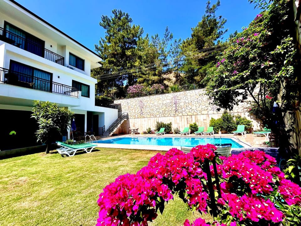 Garden, Swimming pool, sunbed