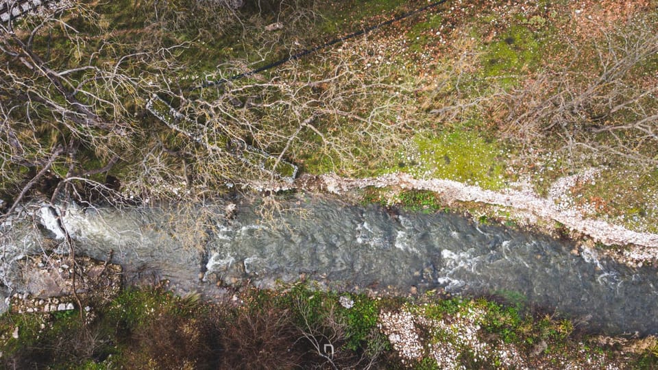 Natural landscape