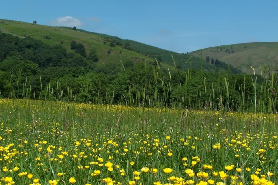 Natural landscape
