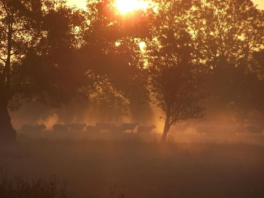 Natural landscape