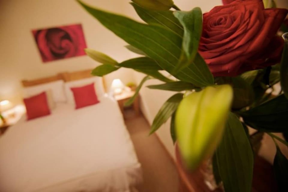 Bed, Photo of the whole room, Decorative detail, Bedroom