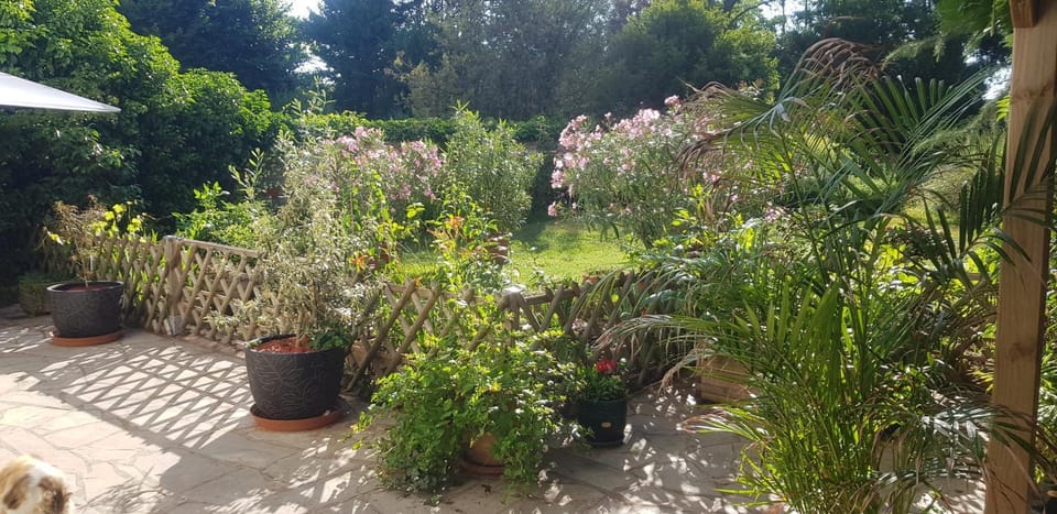 Garden view